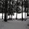 Szent Anna tó és környéke télen 19