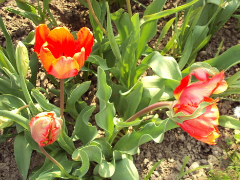 április2010 210