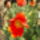 Aprilis2010_211_686361_41618_t