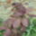Aprilis2010_213_686363_92881_t