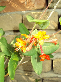 április2010 215
