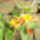 Aprilis2010_215_686364_80664_t