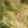 Aprilis2010_217_686365_92790_t