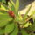 Aprilis2010_221_686371_67325_t
