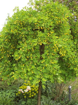 április2010 228