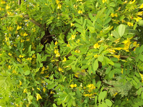 április2010 229
