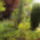 Aprilis2010_233_686373_20071_t