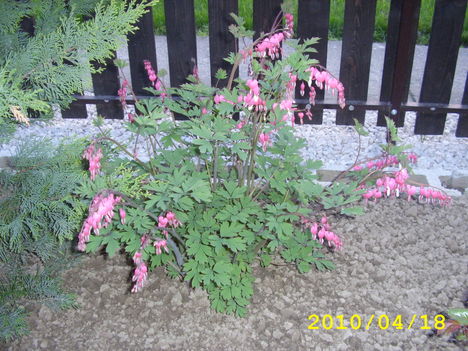 április vége 043