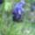 Cimg8970_686725_64832_t