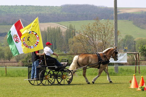 fogathajtás 32