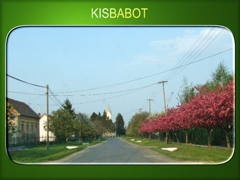 KISBABOT3