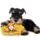 Miniatureschnauzerpuppyphoto83488_wallcoo_com_686983_48303_t