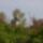 P2270048_686952_59665_t