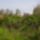 P2270049_686951_88340_t