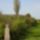 P2270055_686946_32375_t