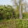 P2270062_686943_70633_t