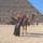 Egyiptom_2008_146_688585_23909_t