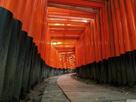 Fushimi Inari kapui, Kiotó, Japán