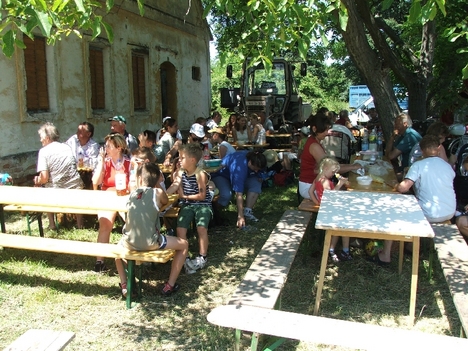 Piknik2008-112