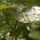 Cimg9286_692966_33471_t