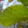 Cimg9288_692963_18946_t