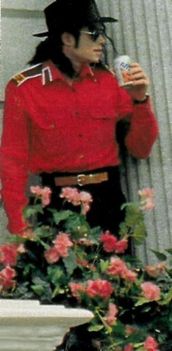 TOO-CUTE-michael-jackson-11647197-250-510