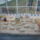 2010_majus_1-007_696629_62597_t