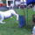 Cimg9091_696018_33320_t