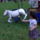 Cimg9092_696017_23200_t
