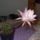 Dscf0085_696054_31366_t