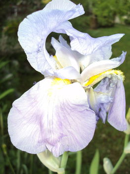 május2010 001