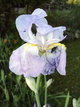 május2010 002
