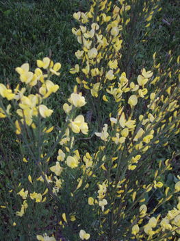 május2010 009
