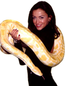 withSnake