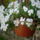P4190563_699011_77148_t