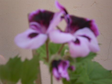 P4190565