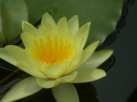 P4270695
