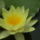 P4270695_699017_88176_t