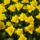 P4270737_699026_70334_t