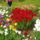 P4270740_699027_59627_t