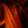 Cimg9190_690544_97431_t