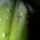 Cimg9237_690545_19603_t