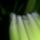 Cimg9261_690547_92249_t