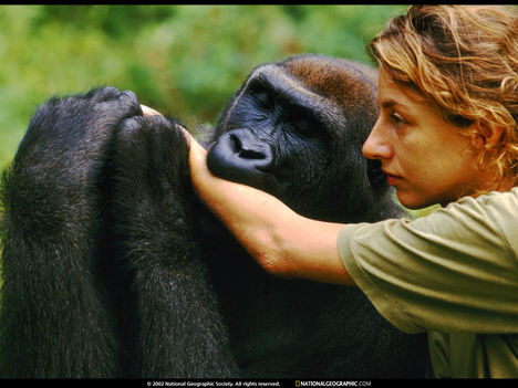 Léfini Faunal Reserve, Congo, 1998