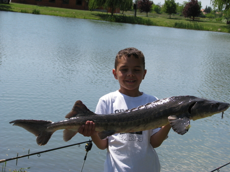 2008.05.11. 6 kg Itáliai Tokhal