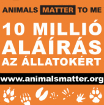 animals_matter_to_me