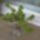 Ez_is_megmarad_a_kovek_kozt_711885_12033_t