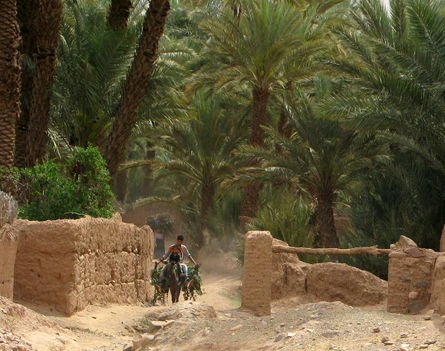 Marokkó 2010 -24