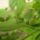 Cimg8966_714794_29649_t