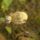 Cimg8998_714797_33123_t